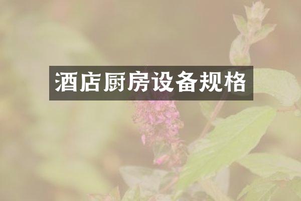酒店厨房设备规格