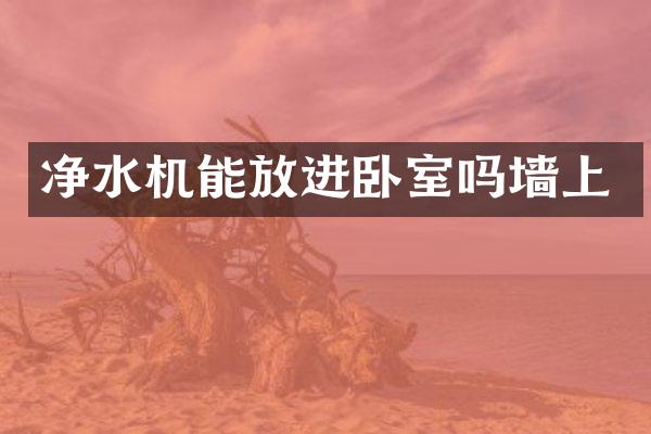 净水机能放进卧室吗墙上