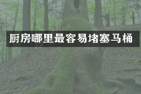 厨房哪里最容易堵塞马桶