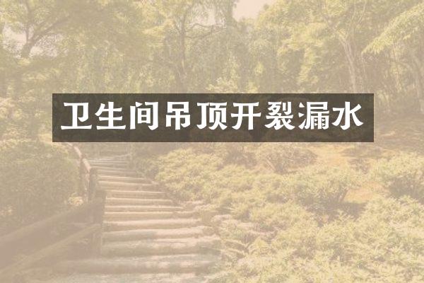 卫生间吊顶开裂漏水
