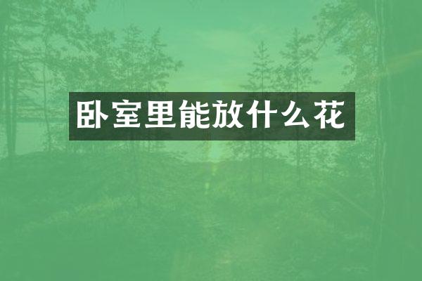 卧室里能放什么花