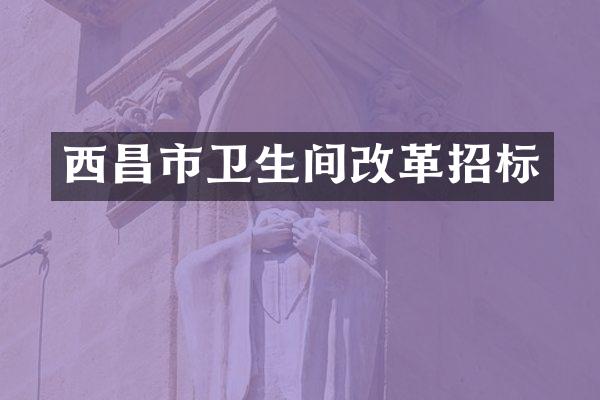 西昌市卫生间改革招标