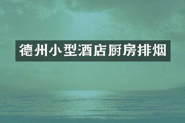 德州小型酒店厨房排烟