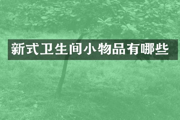 新式卫生间小物品有哪些