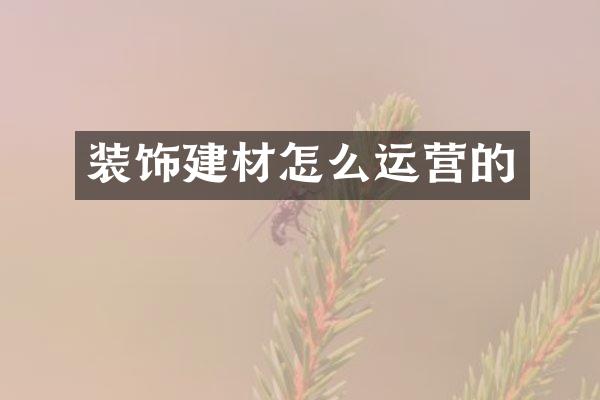 装饰建材怎么运营的