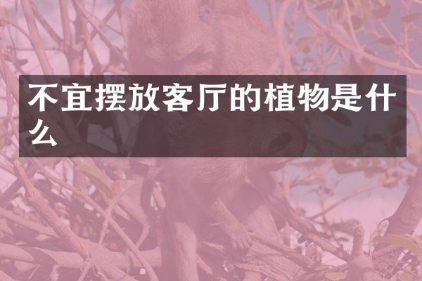 不宜摆放客厅的植物是什么
