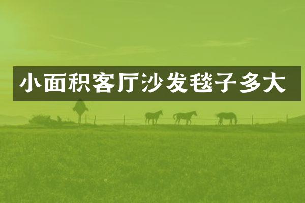 小面积客厅沙发毯子多大