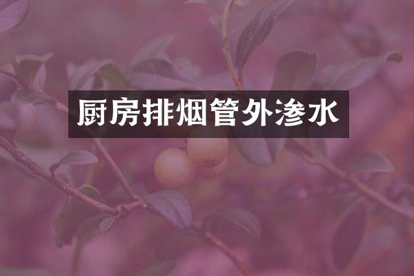 厨房排烟管外渗水