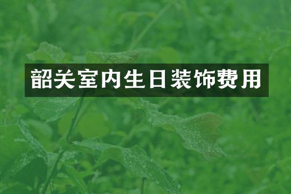 韶关室内生日装饰费用