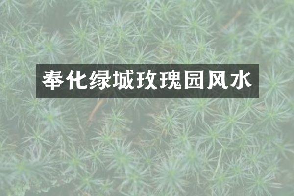 奉化绿城玫瑰园风水