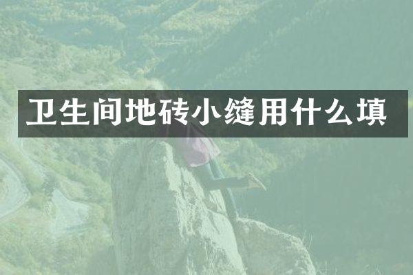 卫生间地砖小缝用什么填