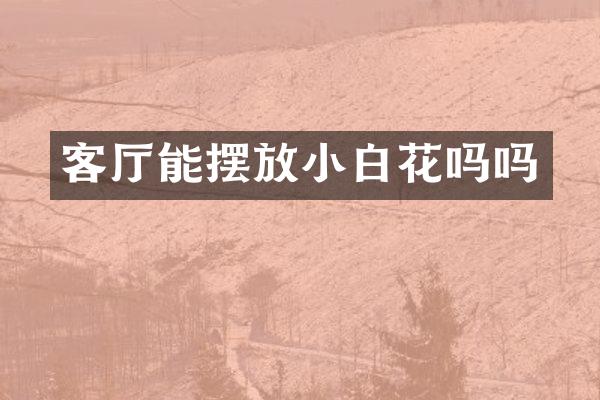 客厅能摆放小白花吗吗