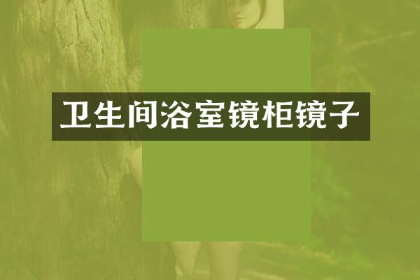 卫生间浴室镜柜镜子