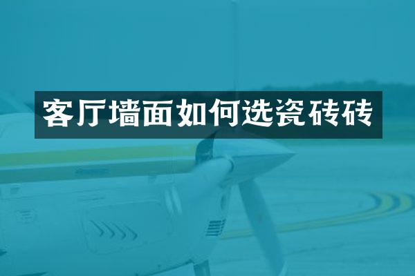 客厅墙面如何选瓷砖砖