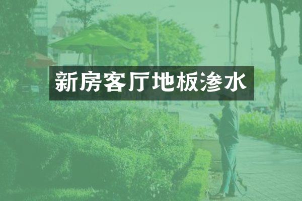 新房客厅地板渗水