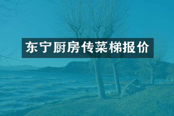 东宁厨房传菜梯报价