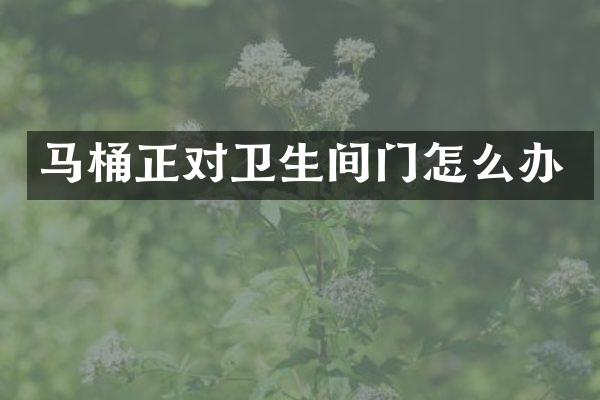 马桶正对卫生间门怎么办