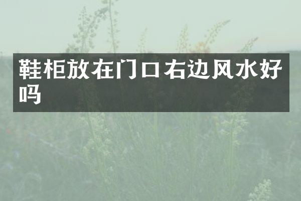 鞋柜放在门口右边风水好吗