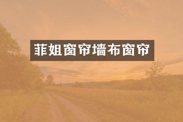 菲姐窗帘墙布窗帘