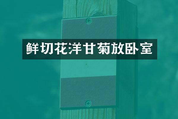 鲜切花洋甘菊放卧室