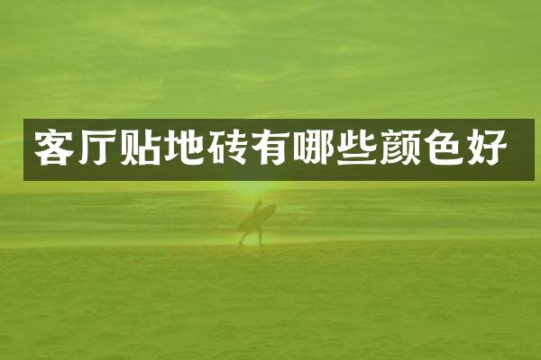 客厅贴地砖有哪些颜色好