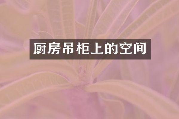 厨房吊柜上的空间