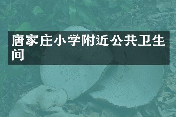 唐家庄小学附近公共卫生间