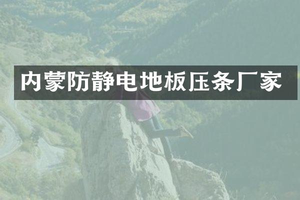 内蒙防静电地板压条厂家