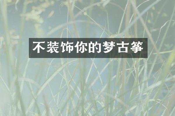 不装饰你的梦古筝