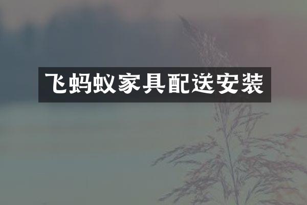 飞蚂蚁家具配送安装