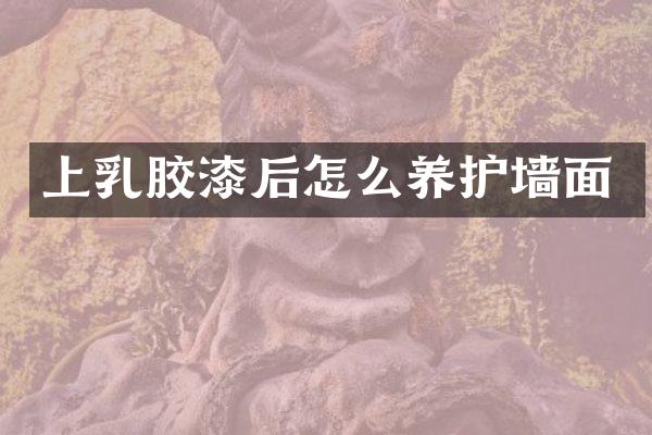 上乳胶漆后怎么养护墙面