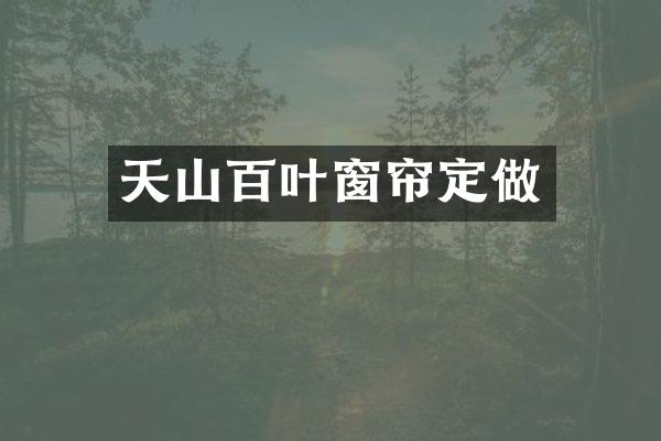 天山百叶窗帘定做