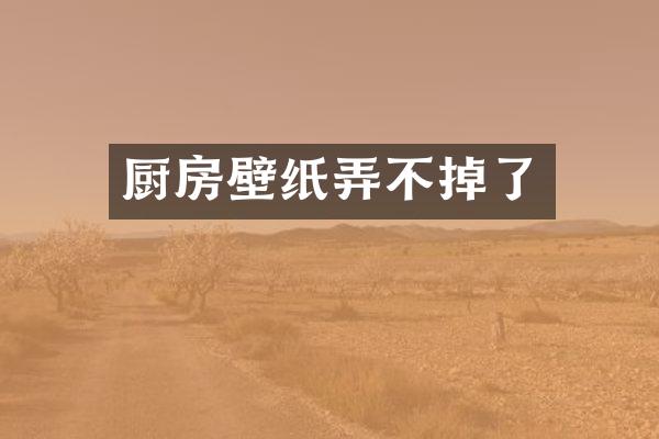 厨房壁纸弄不掉了