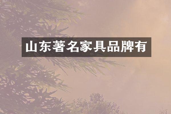 山东著名家具品牌有
