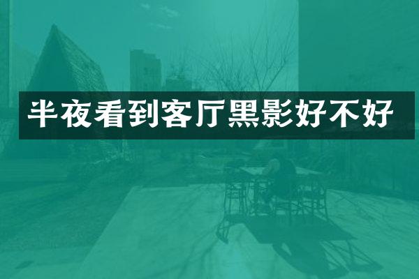 半夜看到客厅黑影好不好