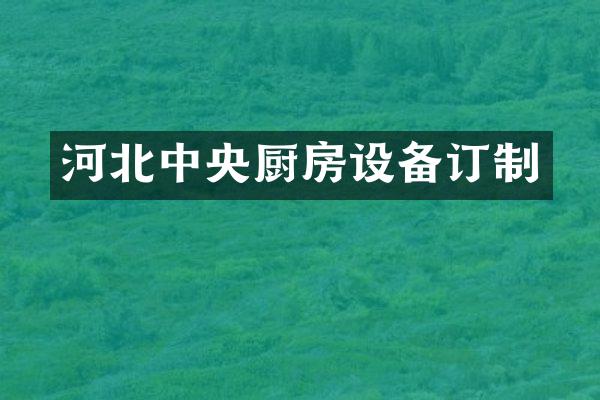 河北中央厨房设备订制