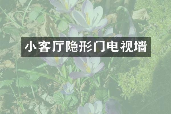 小客厅隐形门电视墙