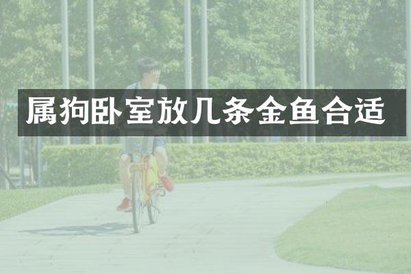 属狗卧室放几条金鱼合适