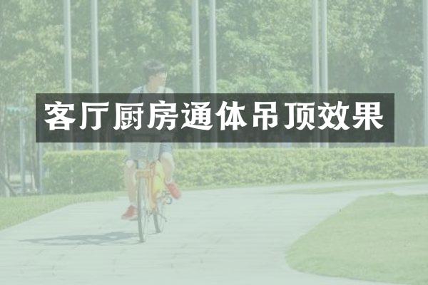客厅厨房通体吊顶效果
