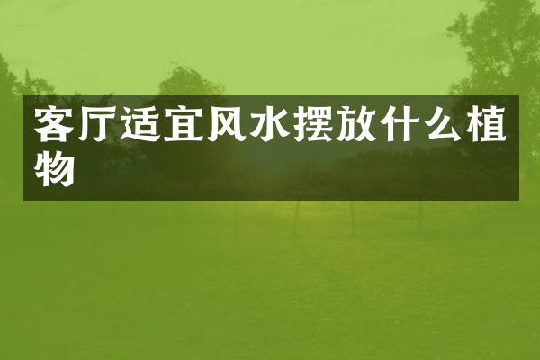 客厅适宜风水摆放什么植物