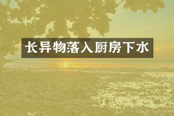 长异物落入厨房下水