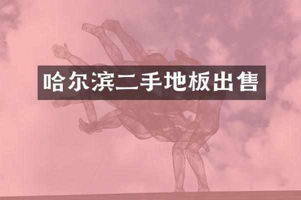哈尔滨二手地板出售