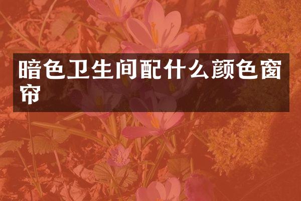 暗色卫生间配什么颜色窗帘
