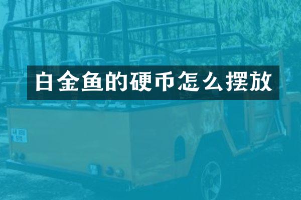 白金鱼的硬币怎么摆放