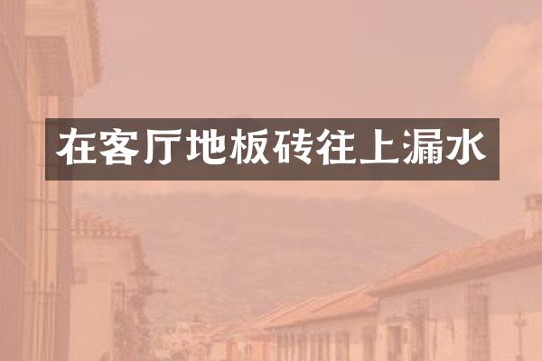在客厅地板砖往上漏水