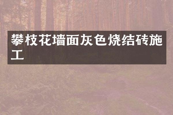 攀枝花墙面灰色烧结砖施工