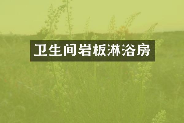 卫生间岩板淋浴房