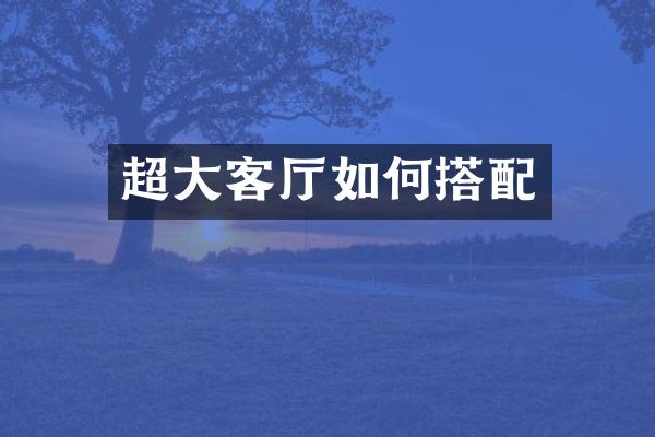 超大客厅如何搭配