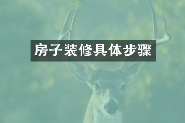 房子装修具体步骤