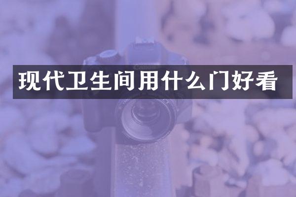 现代卫生间用什么门好看